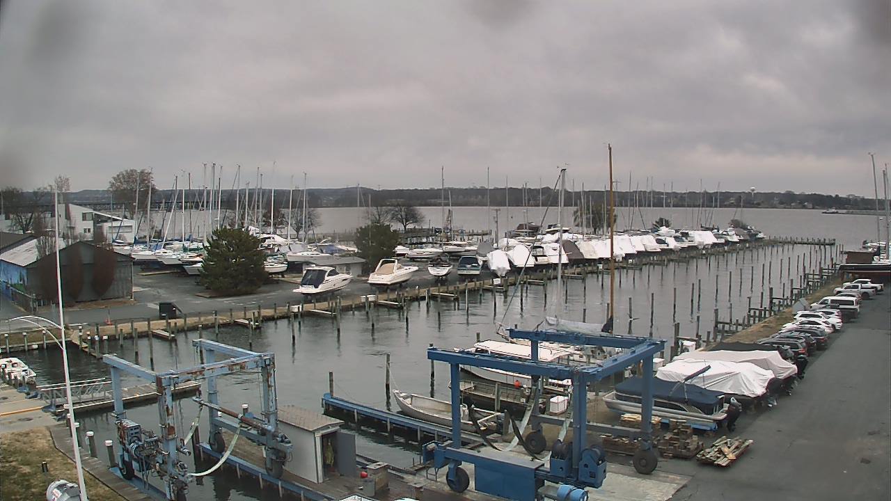 Thumbnail for current weather camera view from Tidewater Marina in Havre de Grace, Maryland