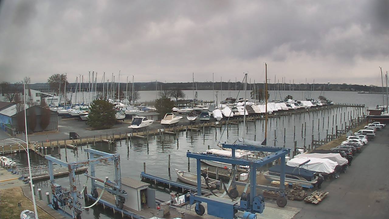 Thumbnail for current weather camera view from Tidewater Marina in Havre de Grace, Maryland