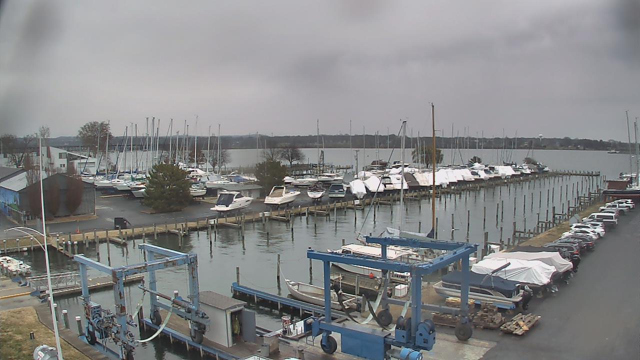 Thumbnail for current weather camera view from Tidewater Marina in Havre de Grace, Maryland