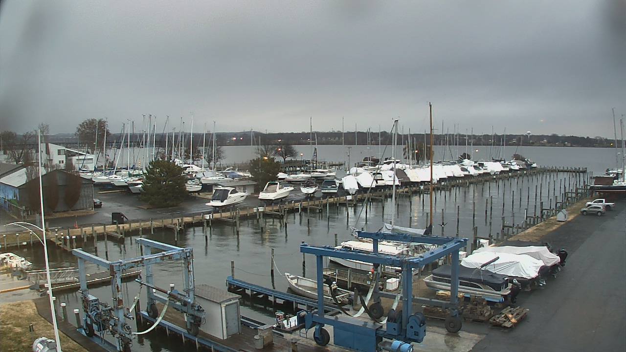 Thumbnail for current weather camera view from Tidewater Marina in Havre de Grace, Maryland