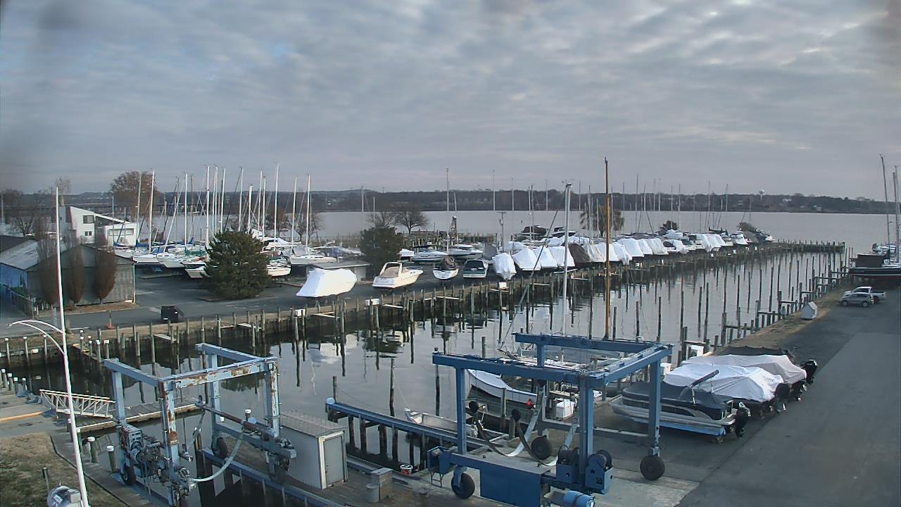 Thumbnail for current weather camera view from Tidewater Marina in Havre de Grace, Maryland