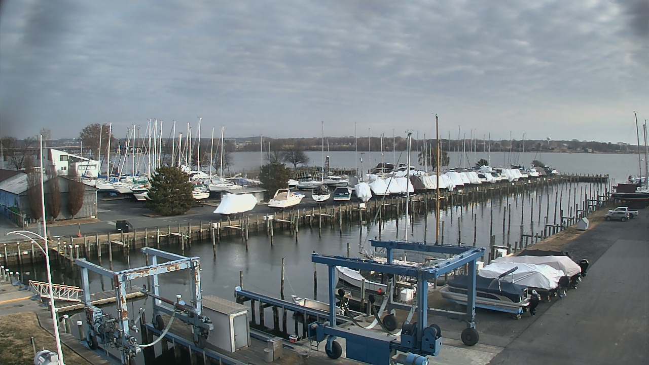 Thumbnail for current weather camera view from Tidewater Marina in Havre de Grace, Maryland