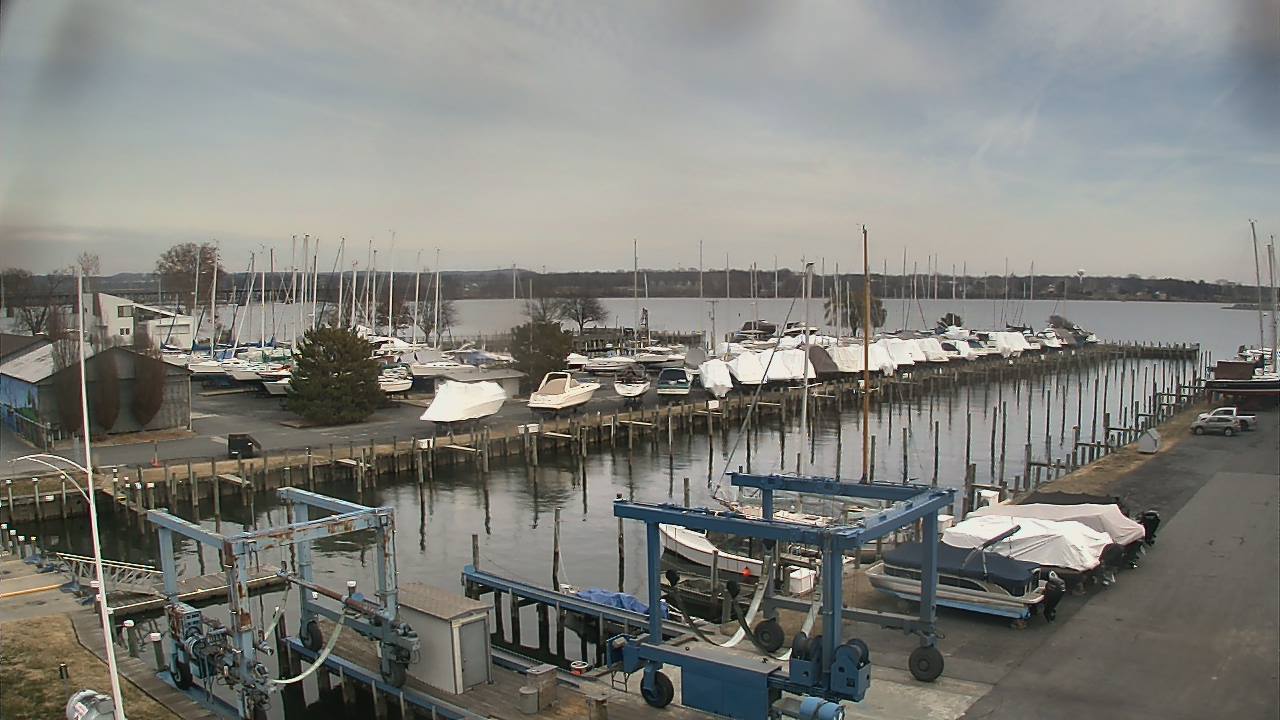 Thumbnail for current weather camera view from Tidewater Marina in Havre de Grace, Maryland