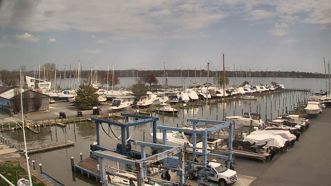Thumbnail for current weather camera view from Tidewater Marina in Havre de Grace, Maryland