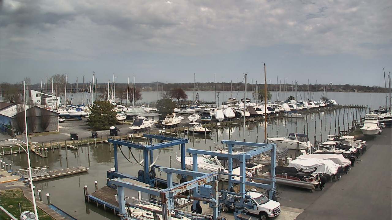Thumbnail for current weather camera view from Tidewater Marina in Havre de Grace, Maryland