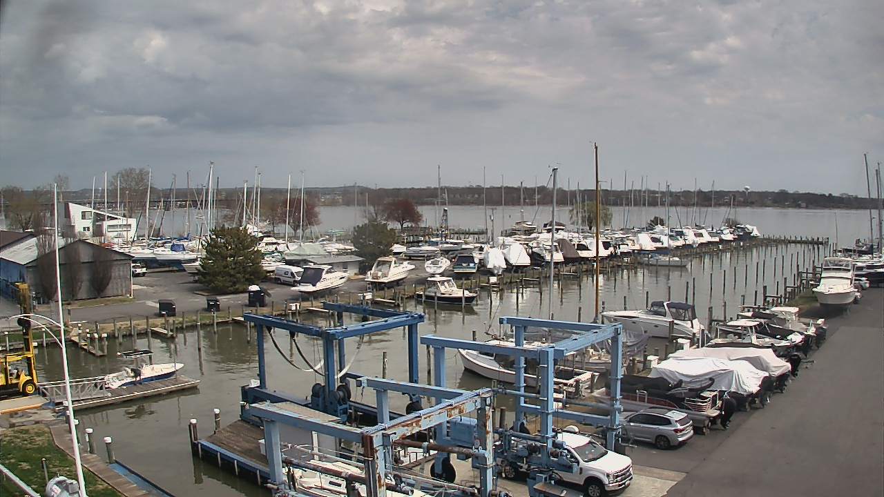 Thumbnail for current weather camera view from Tidewater Marina in Havre de Grace, Maryland
