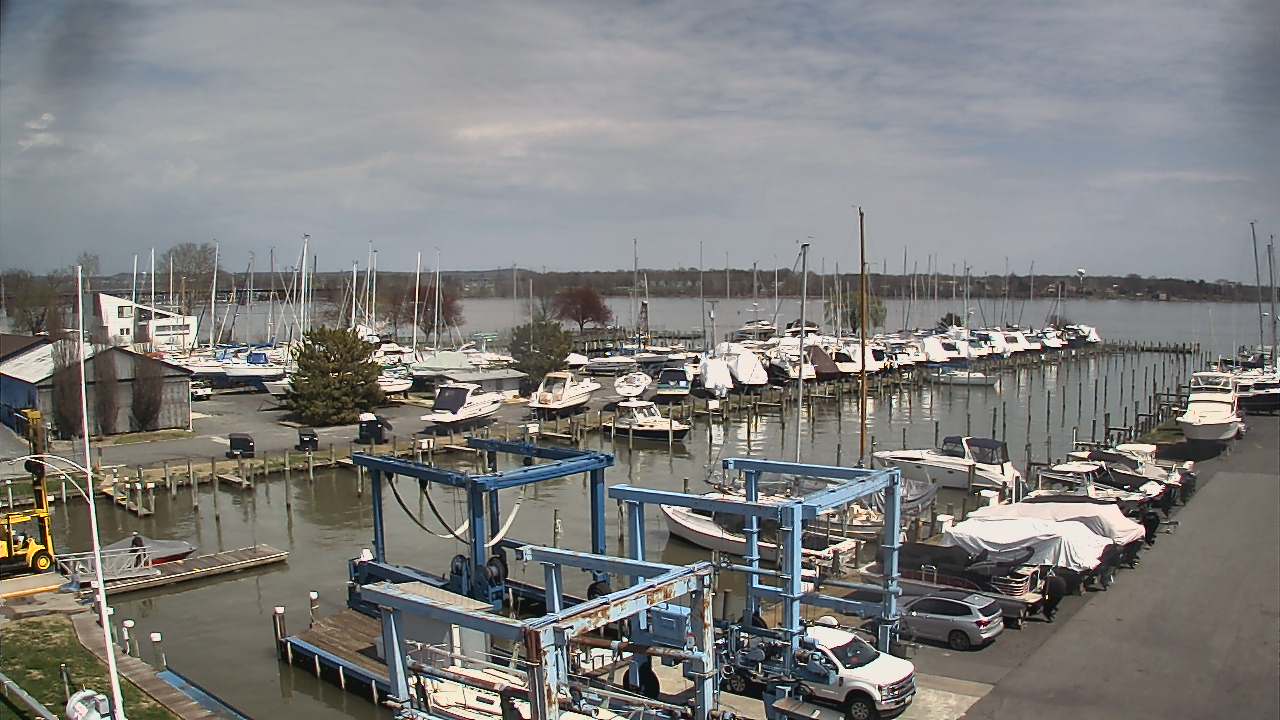 Thumbnail for current weather camera view from Tidewater Marina in Havre de Grace, Maryland