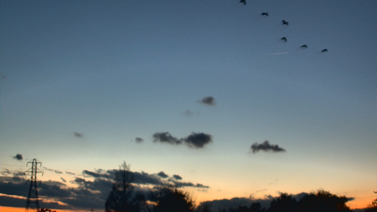 Thumbnail for current weather camera view from Woodmere MS in Woodmere, New York