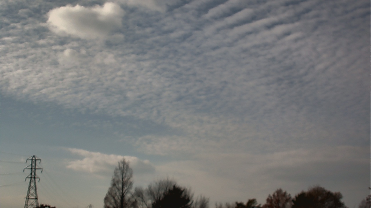 Thumbnail for current weather camera view from Woodmere MS in Woodmere, New York