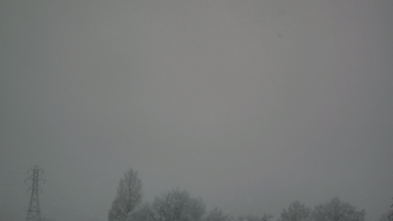 Thumbnail for current weather camera view from Woodmere MS in Woodmere, New York