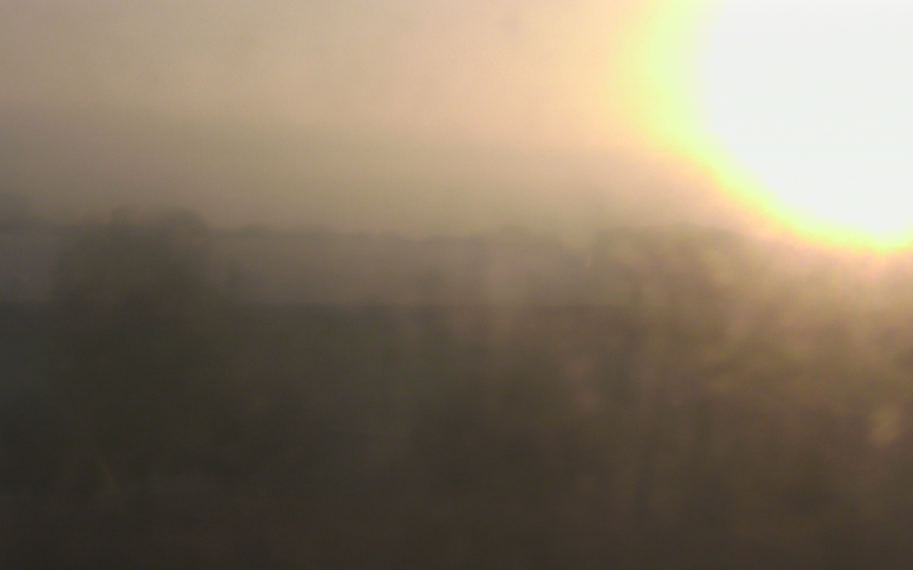 Thumbnail for current weather camera view from Elise Walker Outdoor Learning Center in Irving, Texas