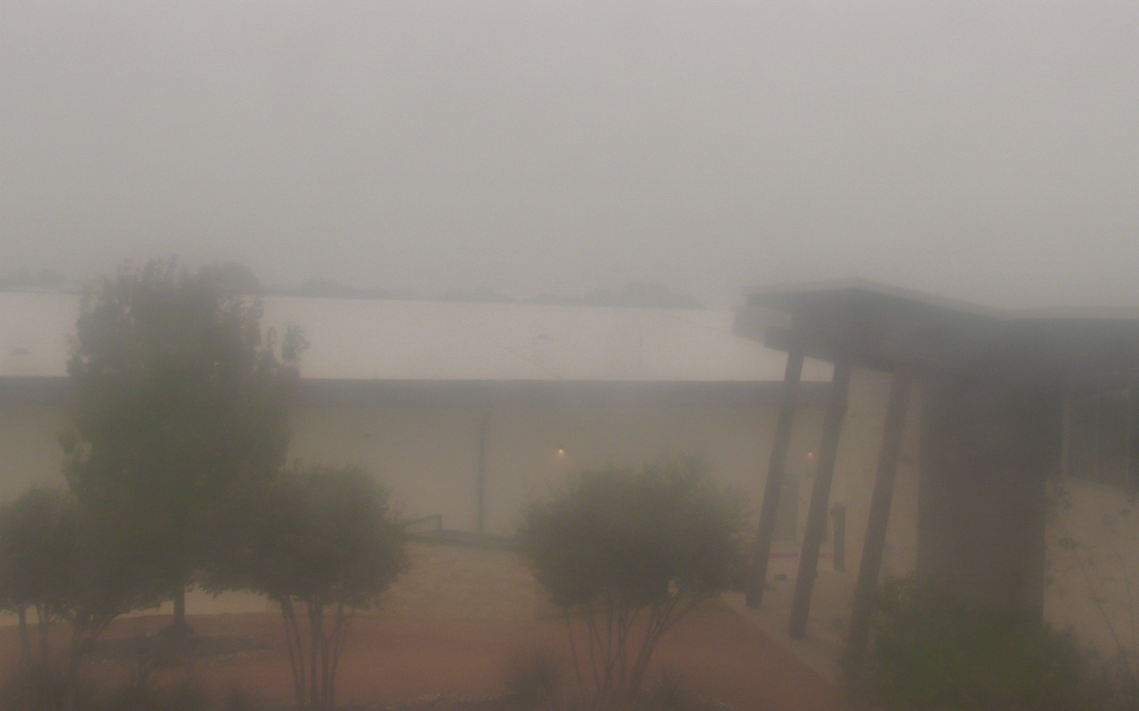 Thumbnail for current weather camera view from Elise Walker Outdoor Learning Center in Irving, Texas