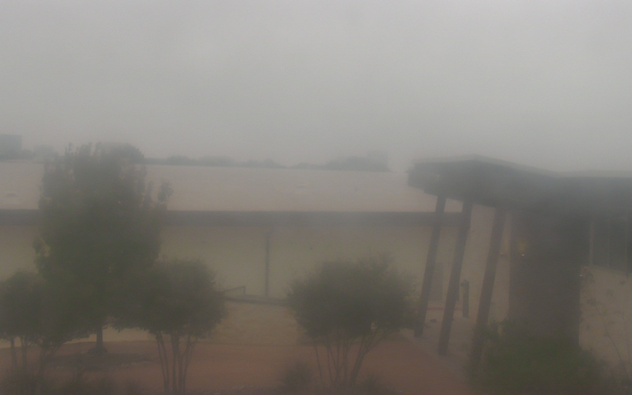 Thumbnail for current weather camera view from Elise Walker Outdoor Learning Center in Irving, Texas