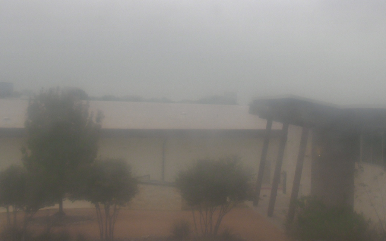Thumbnail for current weather camera view from Elise Walker Outdoor Learning Center in Irving, Texas