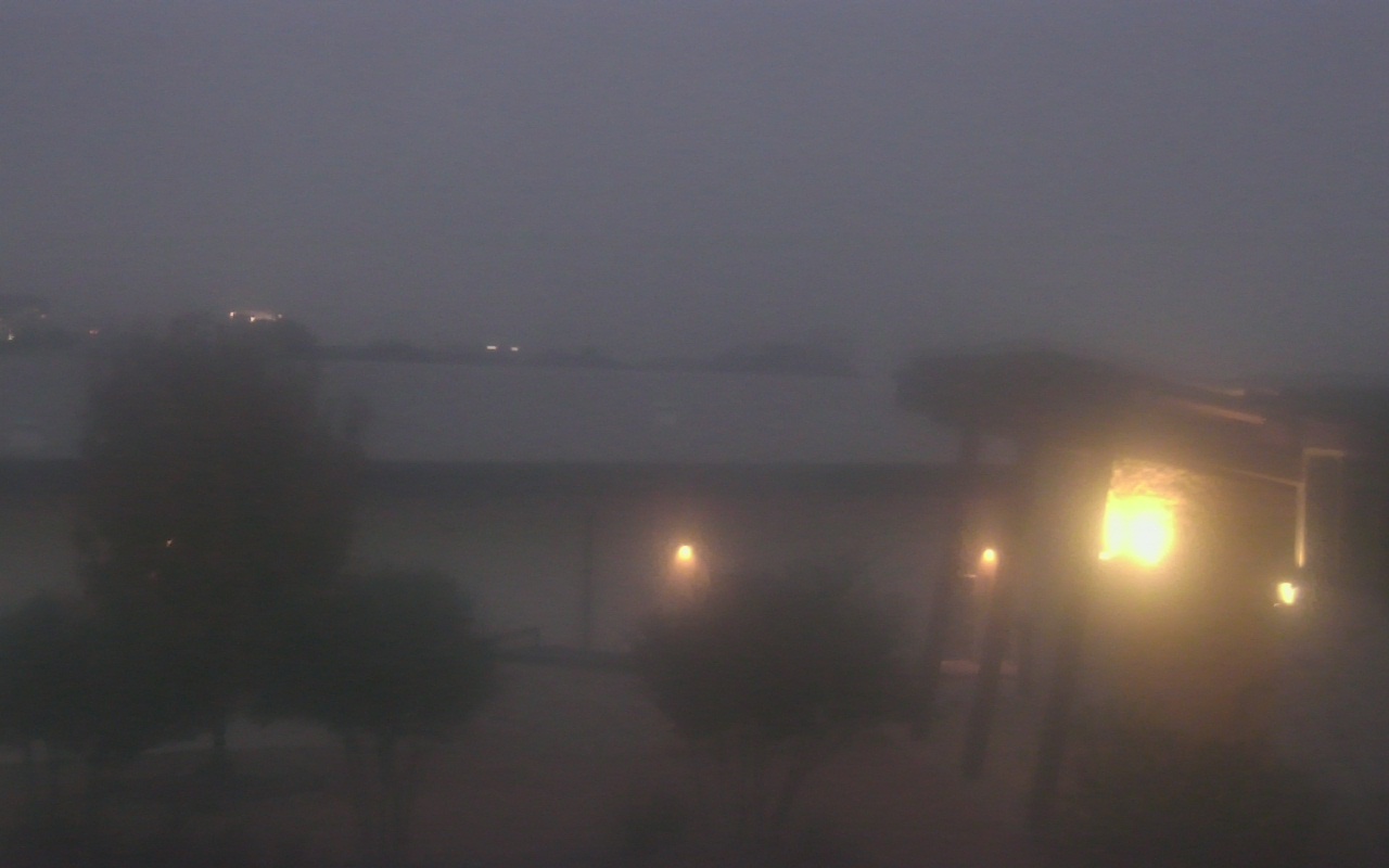 Thumbnail for current weather camera view from Elise Walker Outdoor Learning Center in Irving, Texas