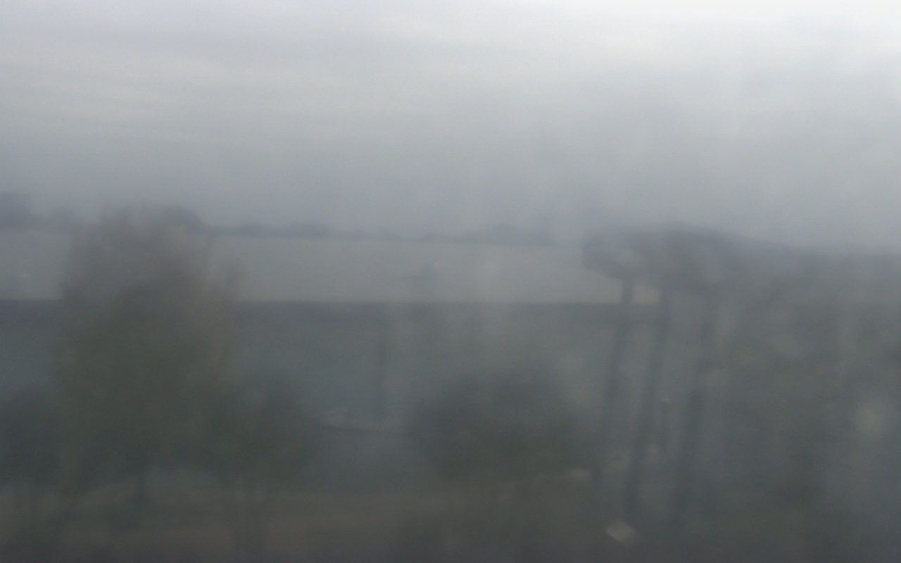 Thumbnail for current weather camera view from Elise Walker Outdoor Learning Center in Irving, Texas