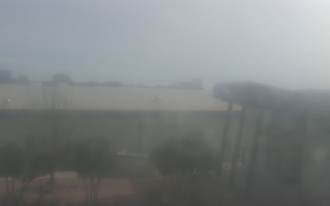 Thumbnail for current weather camera view from Elise Walker Outdoor Learning Center in Irving, Texas