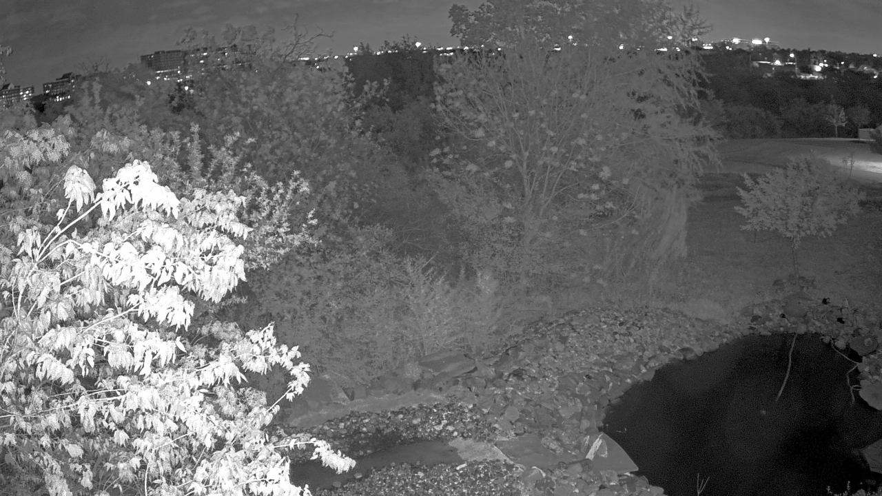 Thumbnail for current weather camera view from Elise Walker Outdoor Learning Center in Irving, Texas