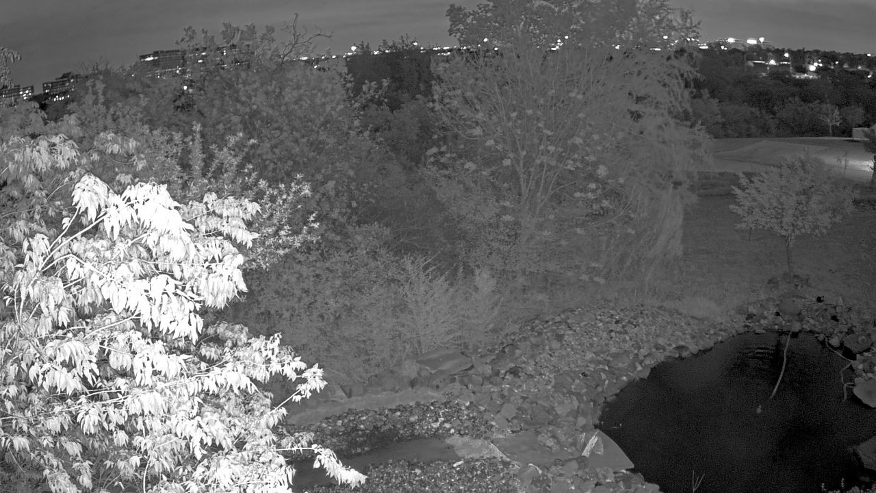 Thumbnail for current weather camera view from Elise Walker Outdoor Learning Center in Irving, Texas