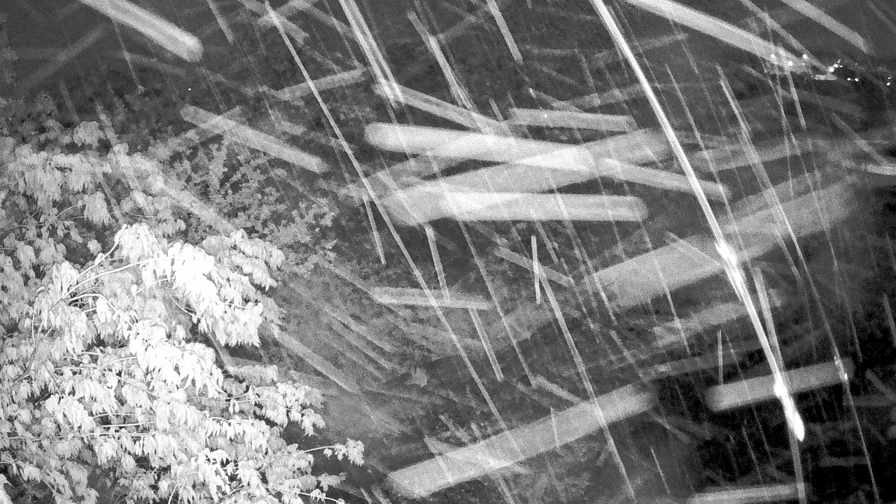 Thumbnail for current weather camera view from Elise Walker Outdoor Learning Center in Irving, Texas