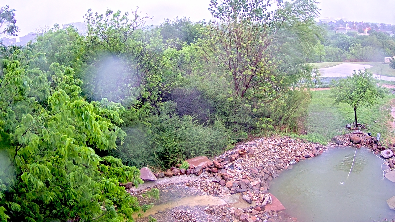 Thumbnail for current weather camera view from Elise Walker Outdoor Learning Center in Irving, Texas