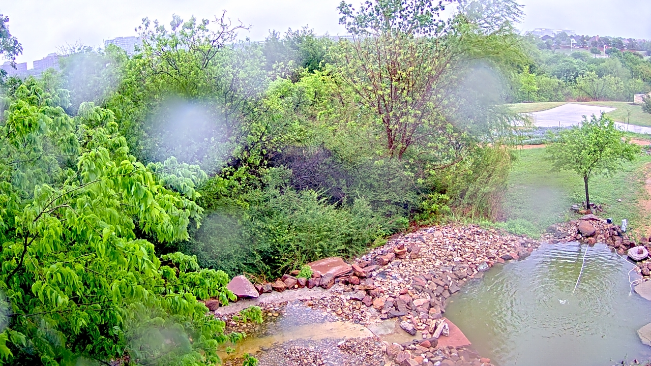 Thumbnail for current weather camera view from Elise Walker Outdoor Learning Center in Irving, Texas