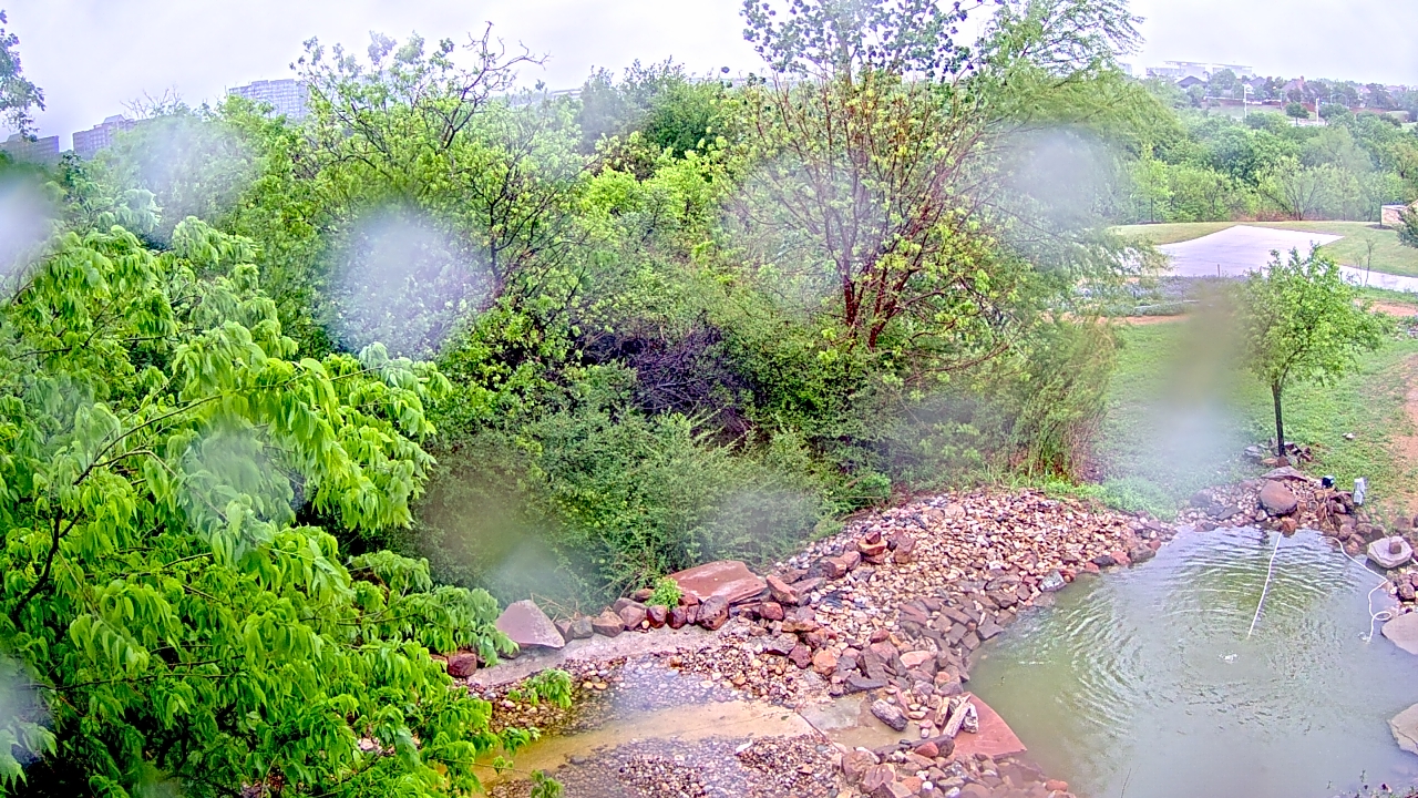 Thumbnail for current weather camera view from Elise Walker Outdoor Learning Center in Irving, Texas