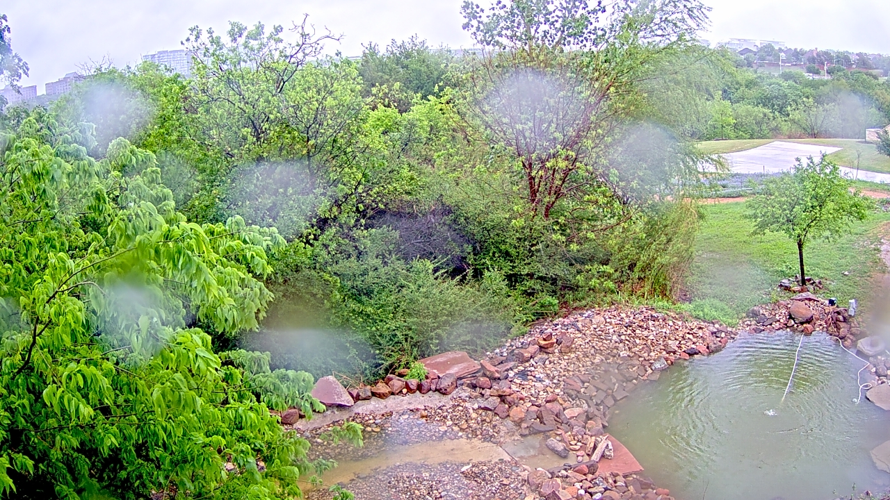 Thumbnail for current weather camera view from Elise Walker Outdoor Learning Center in Irving, Texas