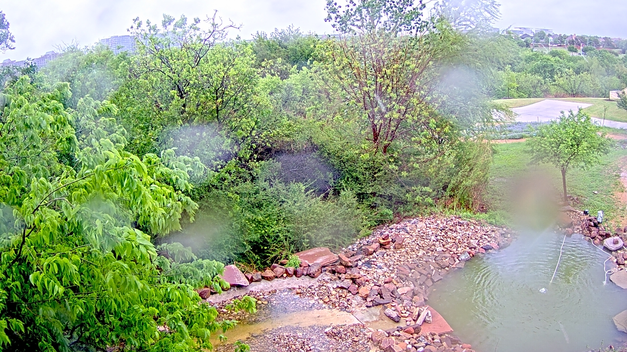 Thumbnail for current weather camera view from Elise Walker Outdoor Learning Center in Irving, Texas