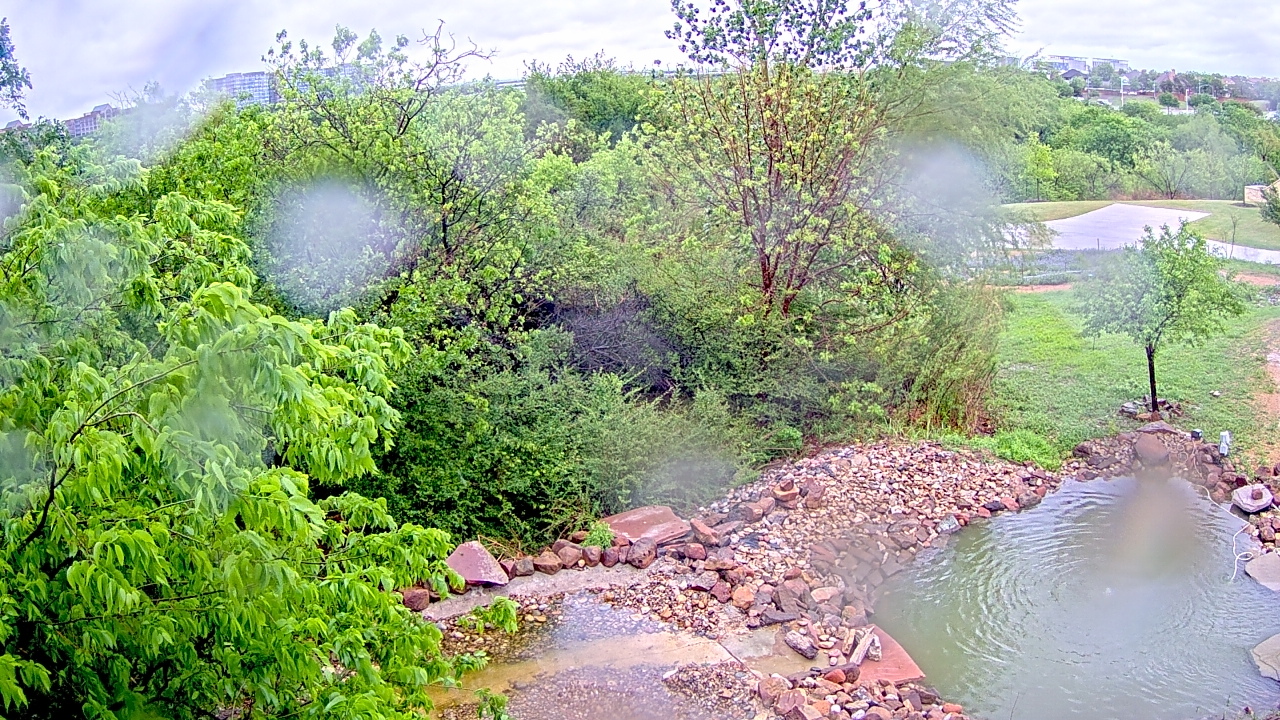 Thumbnail for current weather camera view from Elise Walker Outdoor Learning Center in Irving, Texas