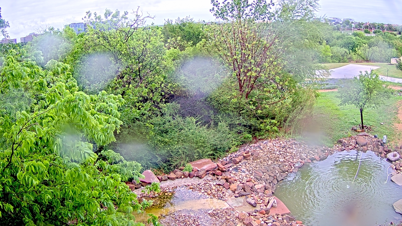 Thumbnail for current weather camera view from Elise Walker Outdoor Learning Center in Irving, Texas