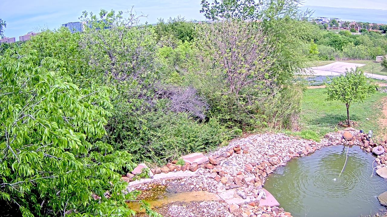 Thumbnail for current weather camera view from Elise Walker Outdoor Learning Center in Irving, Texas