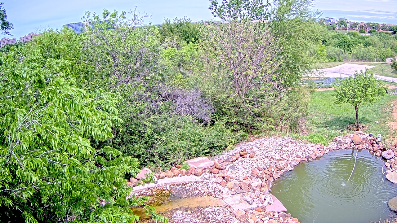 Thumbnail for current weather camera view from Elise Walker Outdoor Learning Center in Irving, Texas