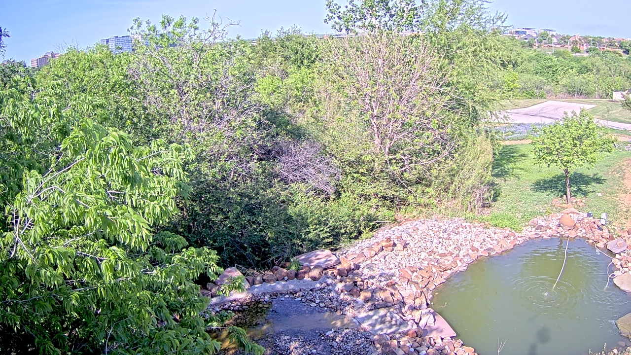 Thumbnail for current weather camera view from Elise Walker Outdoor Learning Center in Irving, Texas