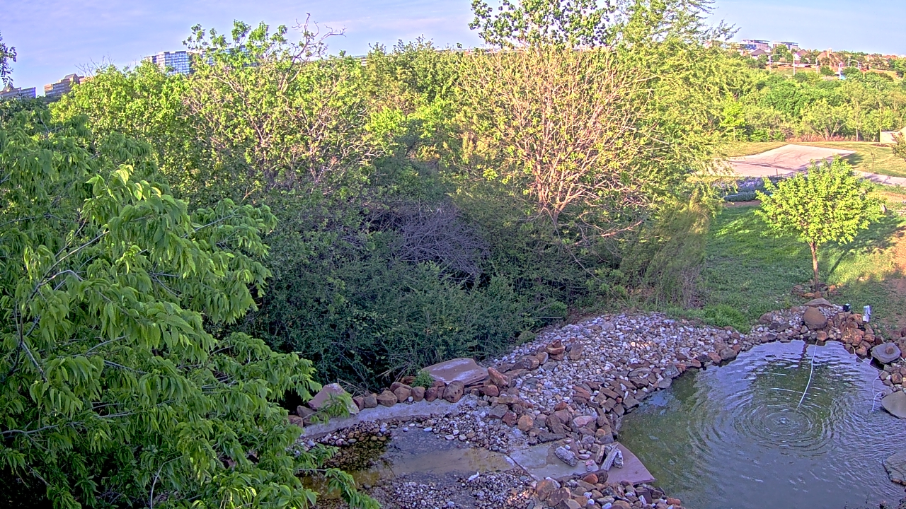 Thumbnail for current weather camera view from Elise Walker Outdoor Learning Center in Irving, Texas