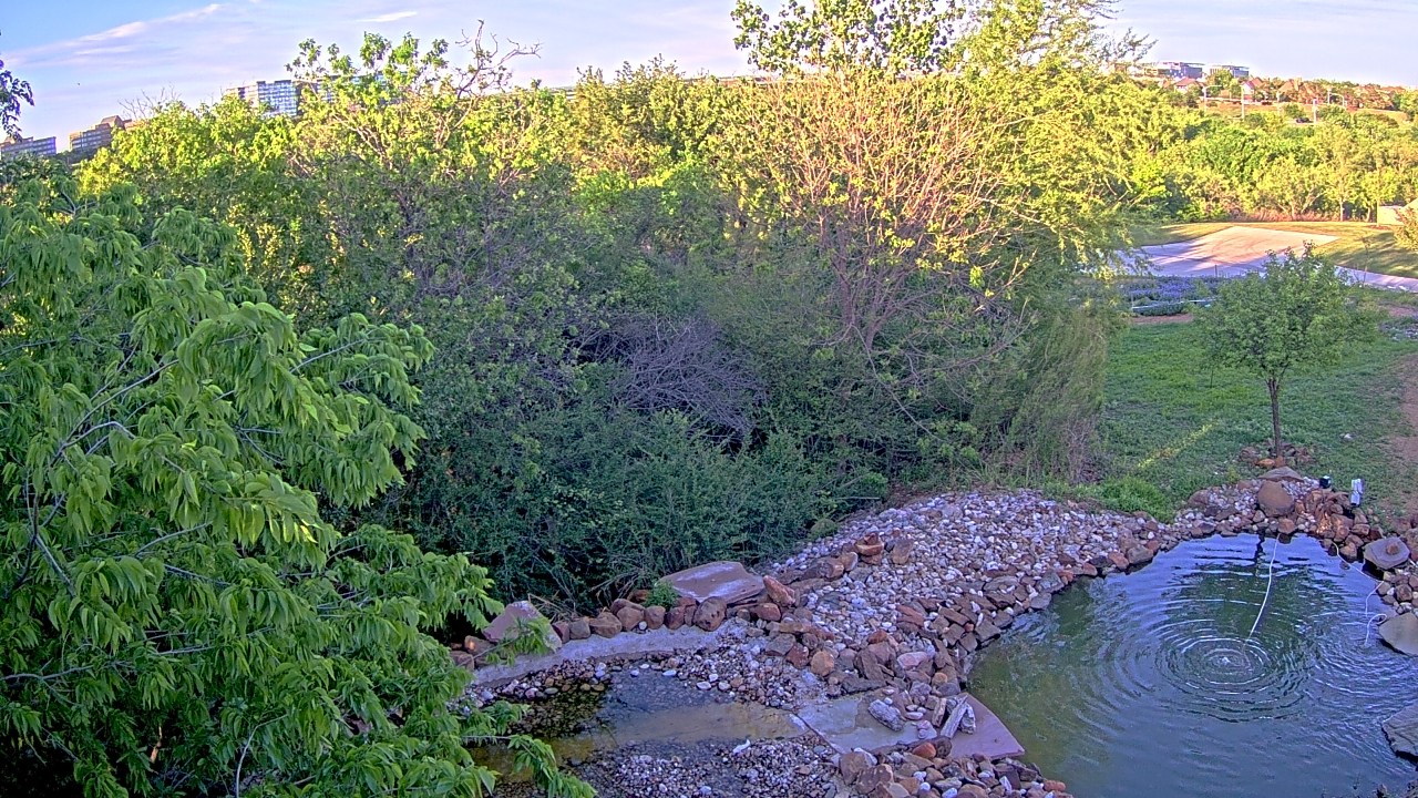 Thumbnail for current weather camera view from Elise Walker Outdoor Learning Center in Irving, Texas