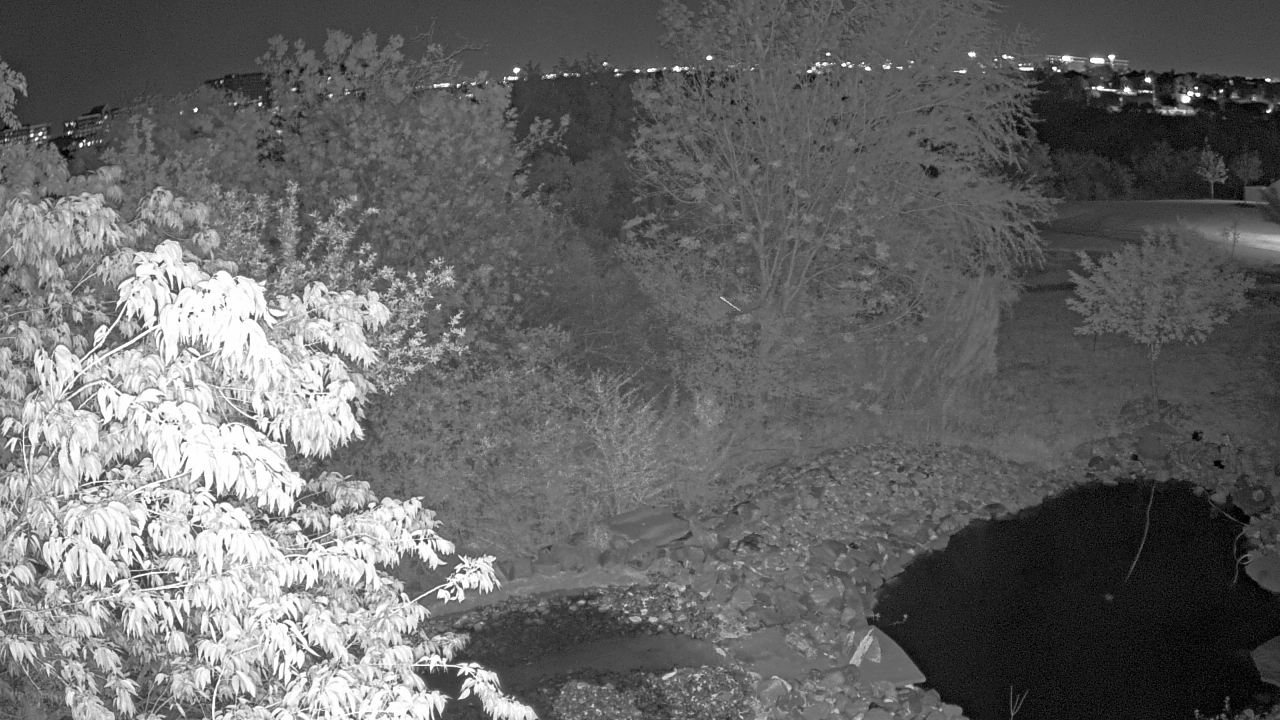 Thumbnail for current weather camera view from Elise Walker Outdoor Learning Center in Irving, Texas