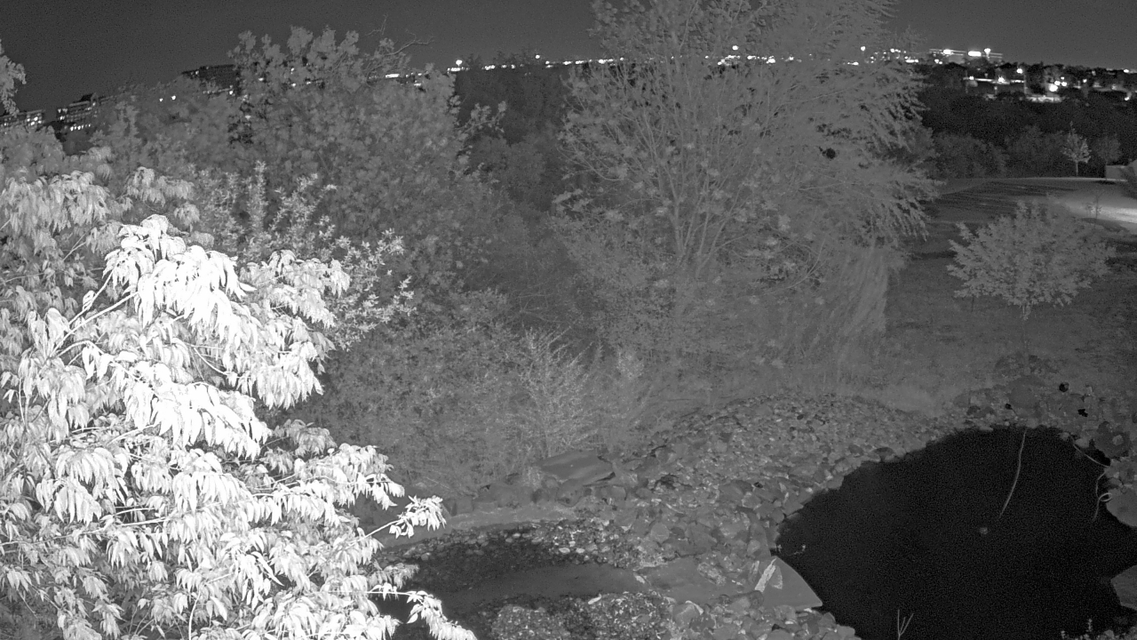 Thumbnail for current weather camera view from Elise Walker Outdoor Learning Center in Irving, Texas