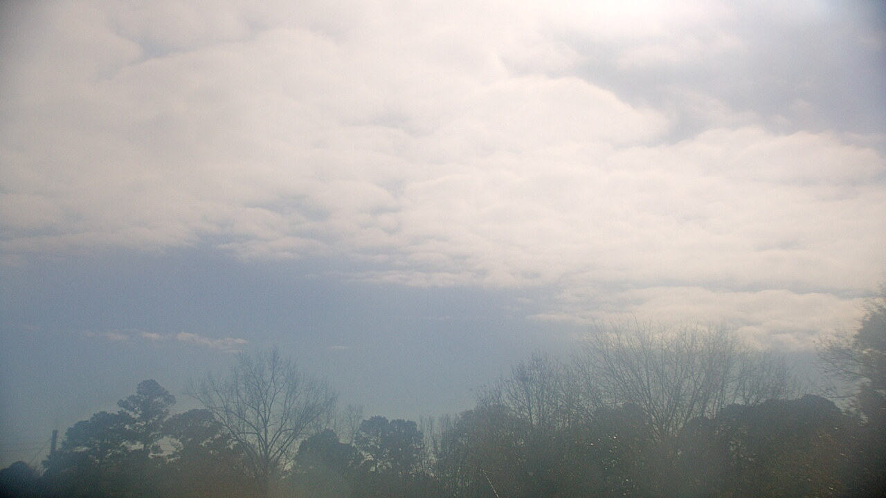 Thumbnail for current weather camera view from Kenly NC in Kenly, North Carolina