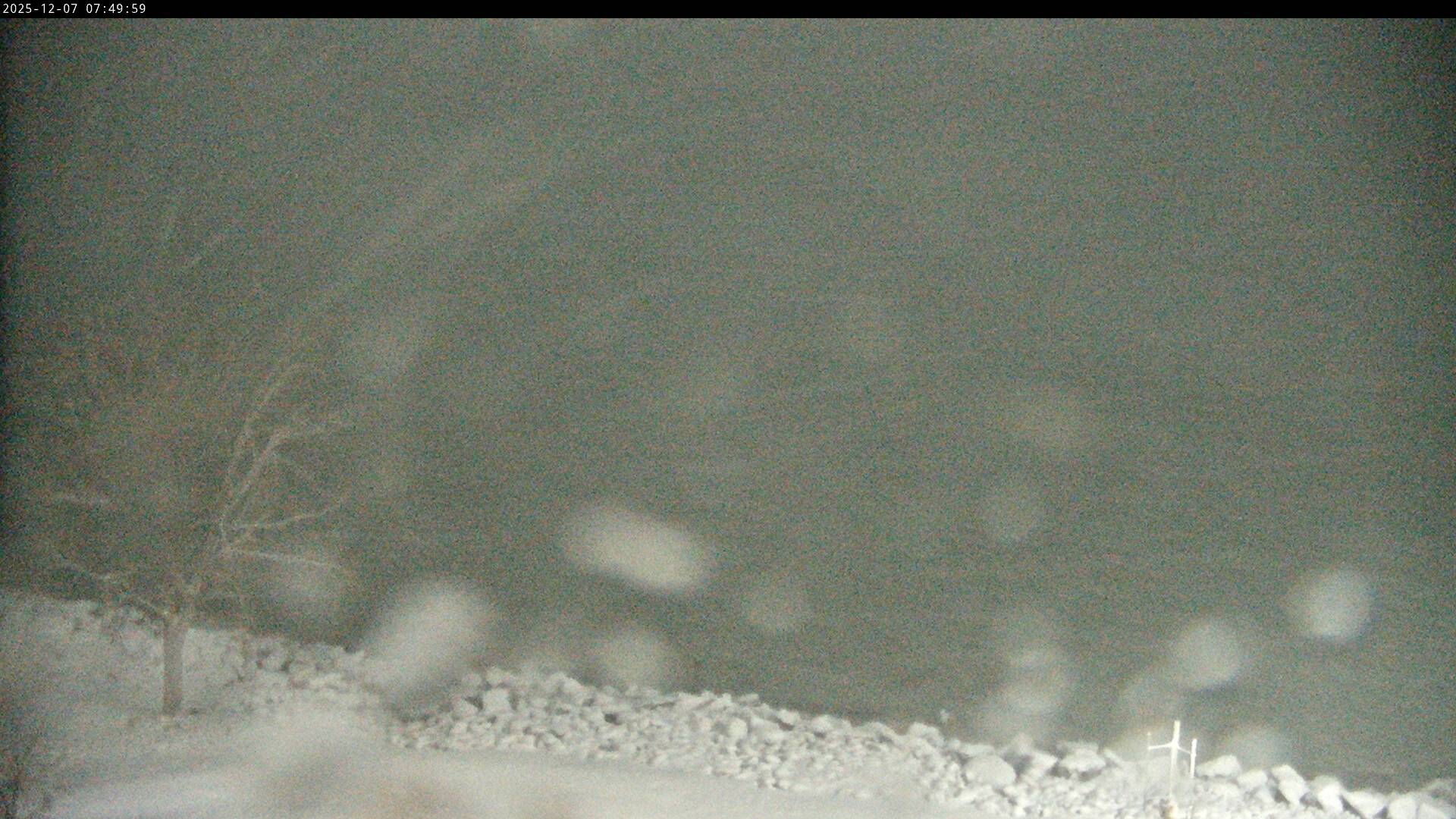 Thumbnail for current weather camera view from Carthage College in Kenosha, Wisconsin