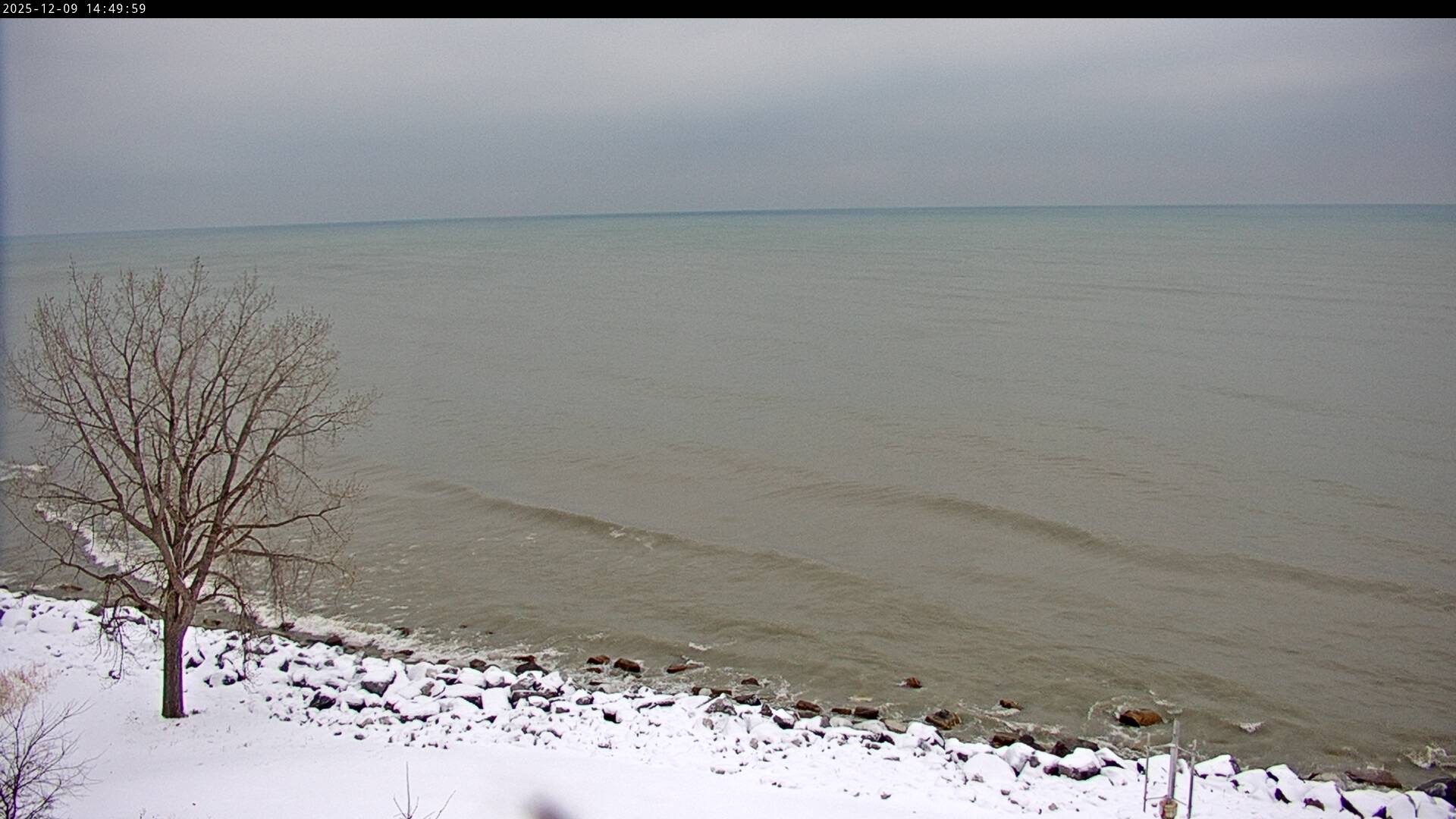 Thumbnail for current weather camera view from Carthage College in Kenosha, Wisconsin