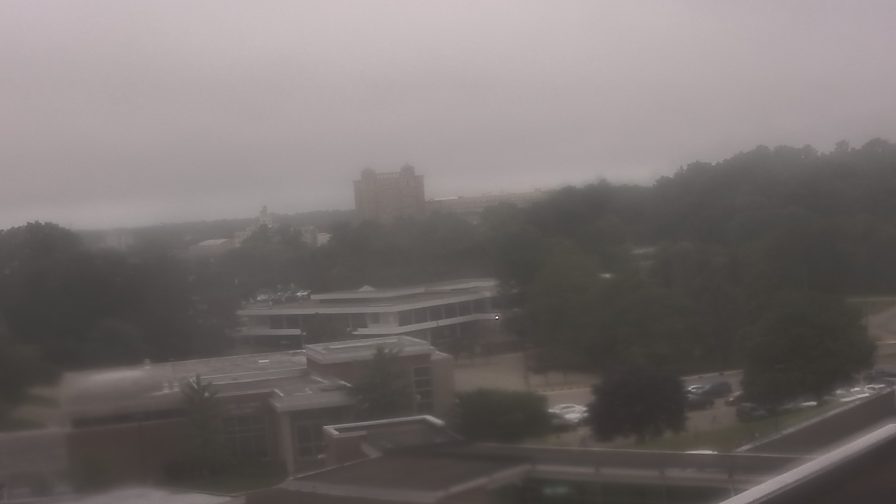 Thumbnail for current weather camera view from Kellogg Community College in Battle Creek, Michigan