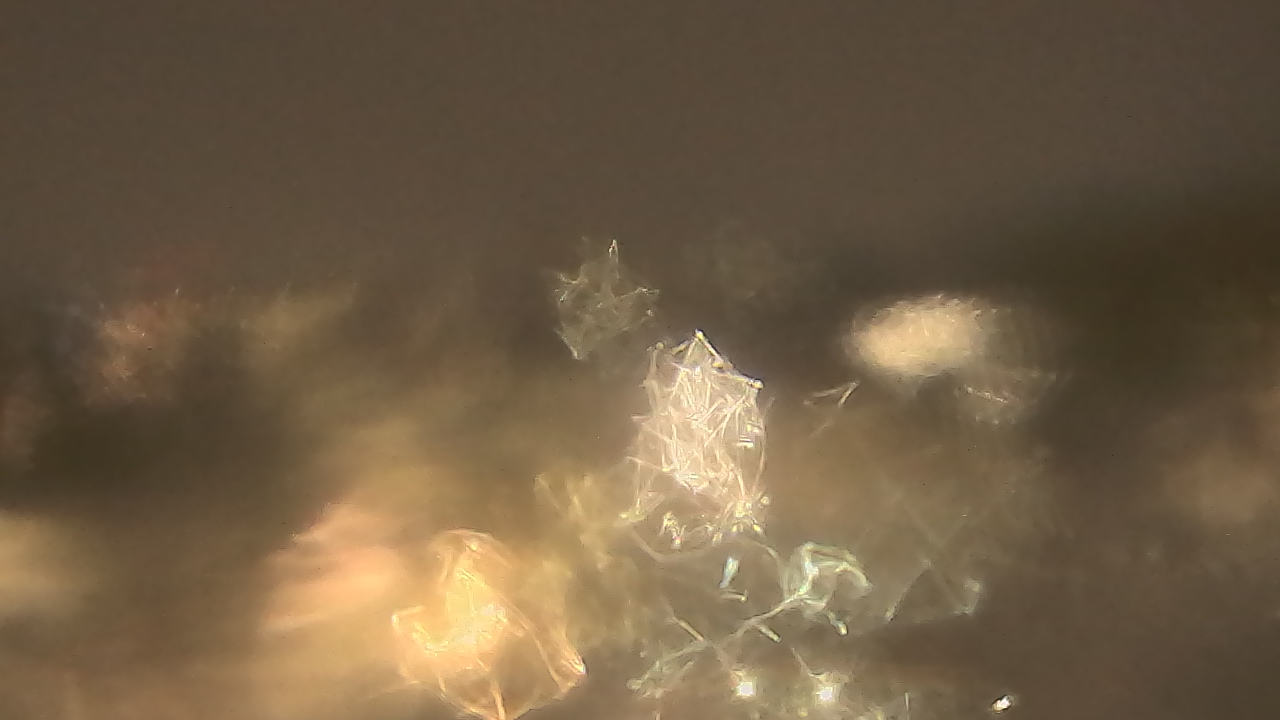 Thumbnail for current weather camera view from Kellogg Community College in Battle Creek, Michigan