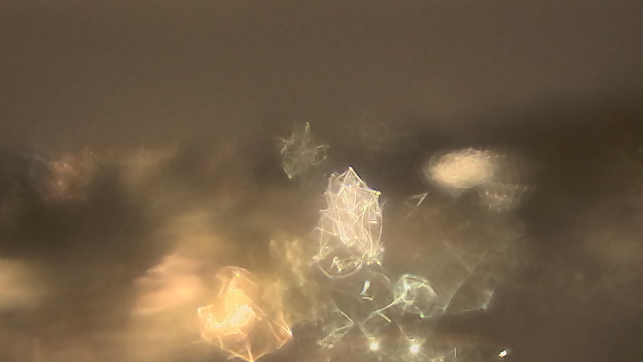 Thumbnail for current weather camera view from Kellogg Community College in Battle Creek, Michigan