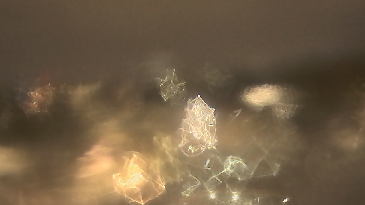 Thumbnail for current weather camera view from Kellogg Community College in Battle Creek, Michigan