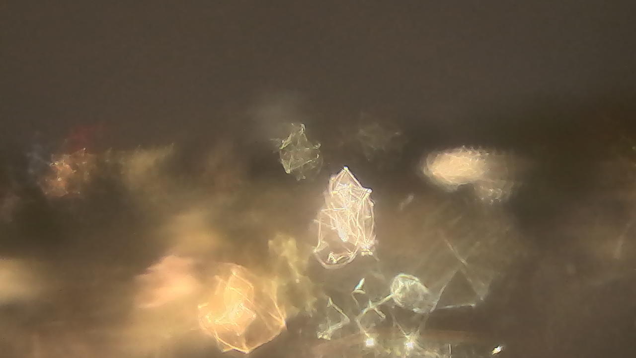 Thumbnail for current weather camera view from Kellogg Community College in Battle Creek, Michigan