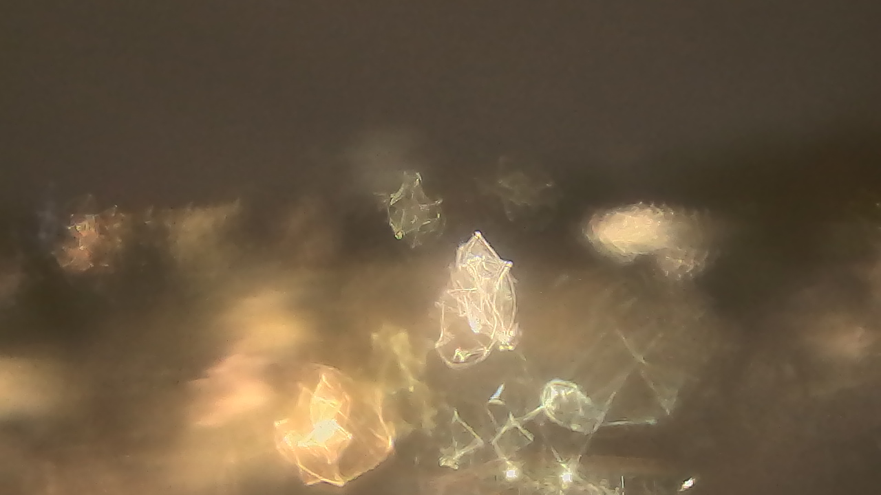 Thumbnail for current weather camera view from Kellogg Community College in Battle Creek, Michigan