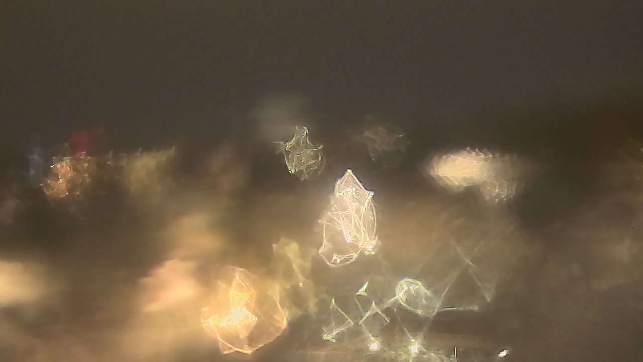 Thumbnail for current weather camera view from Kellogg Community College in Battle Creek, Michigan