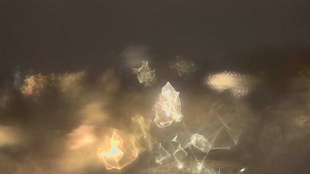 Thumbnail for current weather camera view from Kellogg Community College in Battle Creek, Michigan