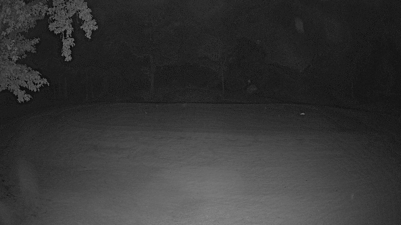 Thumbnail for current weather camera view from Lagoon Park in Montgomery, Alabama